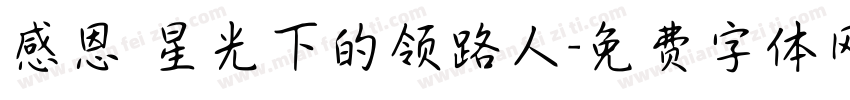 感恩 星光下的领路人字体转换